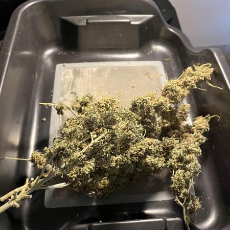 Purple Punch Out!!!