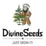 Divine Seeds Contest Auto Big Demon