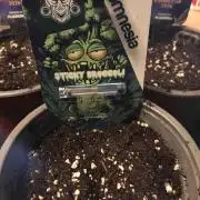 Eternity Grow Cup 2026