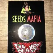Seeds Mafia Bloody Beast