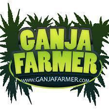 Ganja Farmer Grow Report