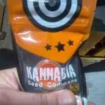 Kannabia-Release (New Strain 2025)
