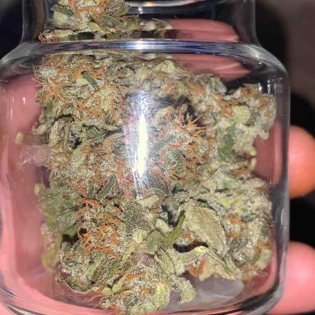 Divine Auto Opium 