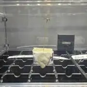 Apple Strudel Round 2