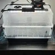 Apple Strudel FastBuds