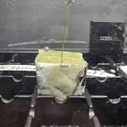 Apple Strudel Round 2