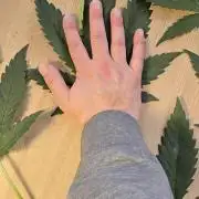 Apple Strudel Round 2