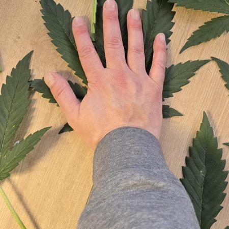 Apple Strudel Round 2