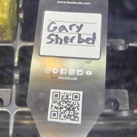 Gary Sherbet first Photo Run