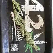 Blue Dream Round 2