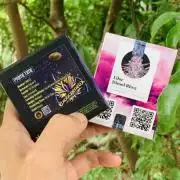 Primetime by Exotic Genetix