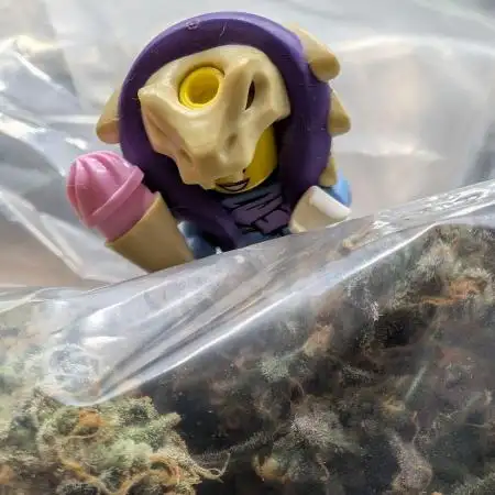 Zamnesia Pink Rozay