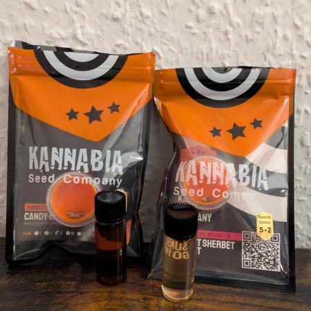 Kannabia Sunset Sherbet Go Fast  Biotabs