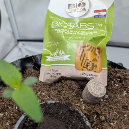 Kannabia Candy Cream Go Fast - Biotabs