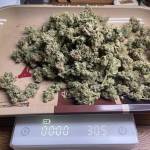 Revenge of OG Kush Auto - FastBuds