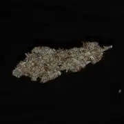Cherry Zoap (II)