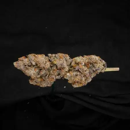 Tangerine Dream