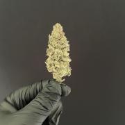Slurricane