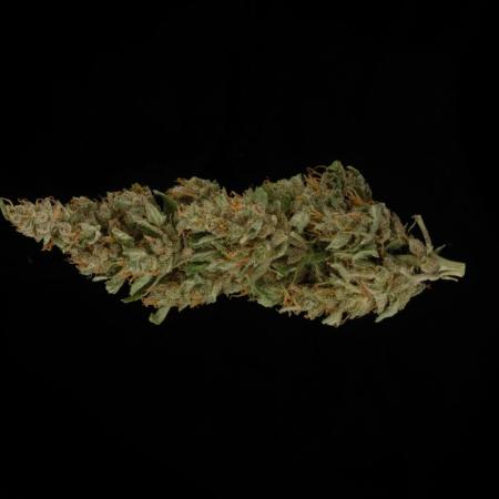 Gorilla Cookies