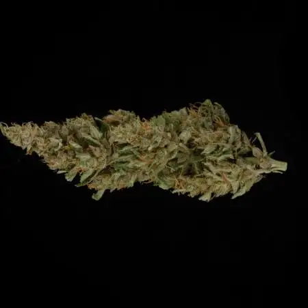 Gorilla Cookies