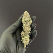 Atomic Blue Dream