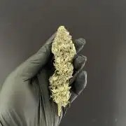 Atomic Blue Dream