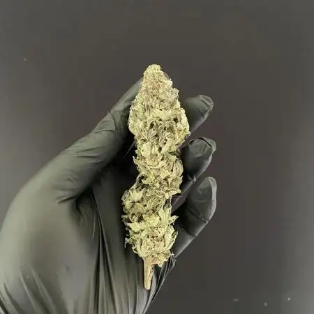 Atomic Blue Dream