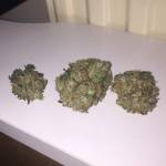 Francos lemon cheese and exodus cheese 