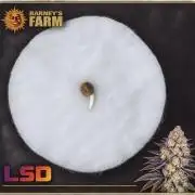 Indoor Barneys Farm