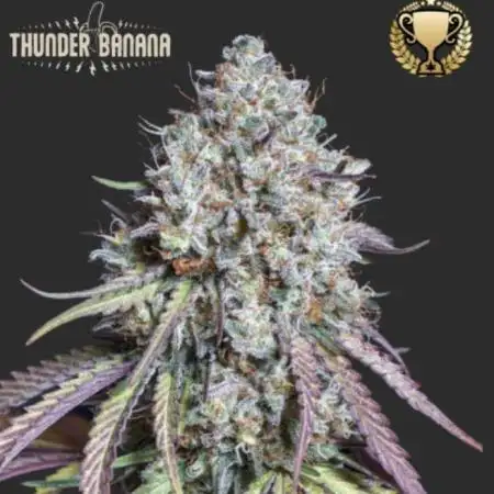 Thunder Banana