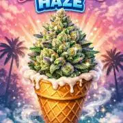Ice Cream Haze