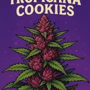 Red Tropicana Cookies