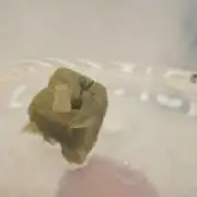 Chocobang DWC
