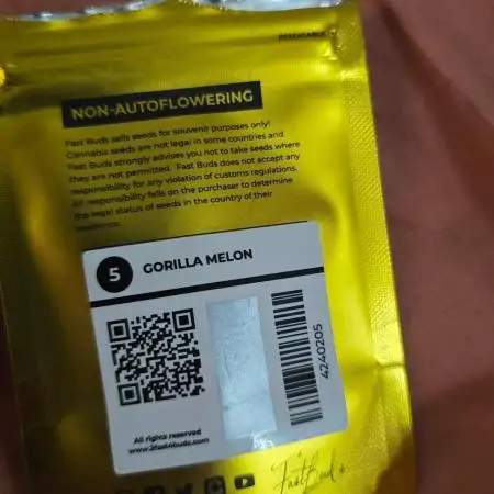 Gorilla Melon DWC