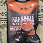 Sativa Dream DWC