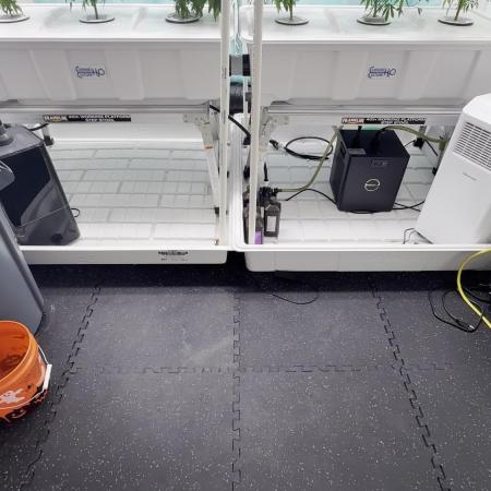 RDWC Super Boof, Purp Burst, Super Berry