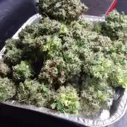 AK-47 Extrm Auto #2