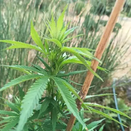 Outdoors take 3