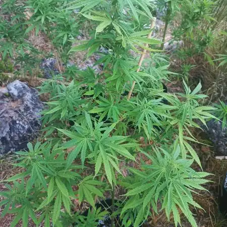 Outdoors take 3