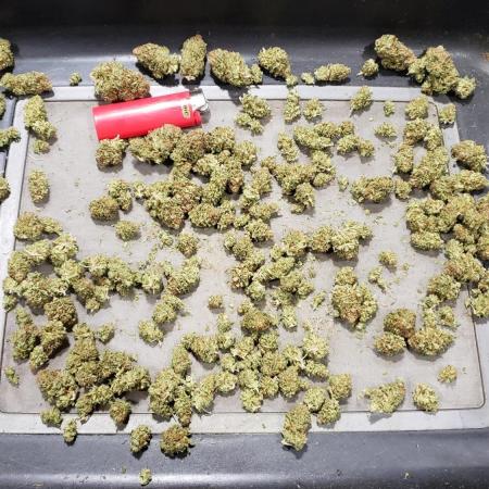 Blimburn , 00 , seedsman