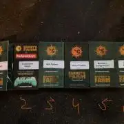 Barneys Farm candy 🍬