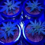 Nirvana DWC GenHydro