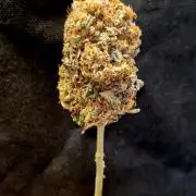 Wedding Cake Super Strains