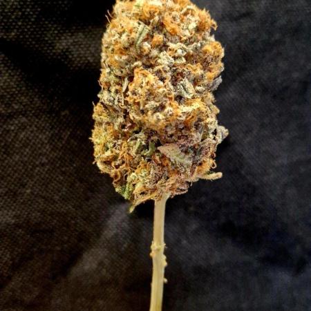 Wedding Cake Super Strains