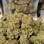 Think Fast grow fast