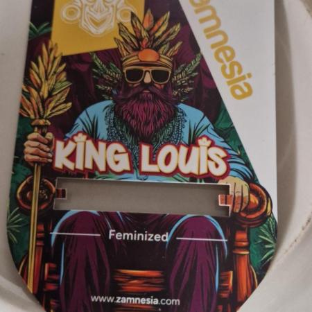 King Louis grow 2x