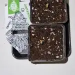 Projekt Permanent Marker 2x