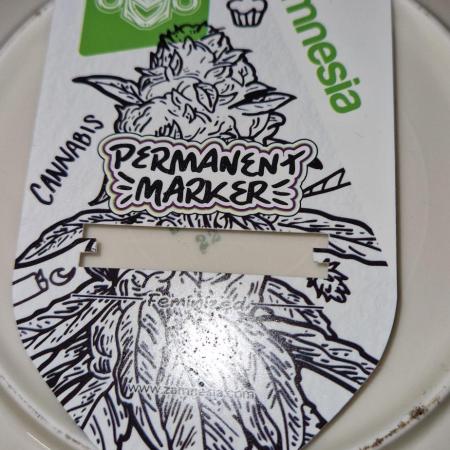 Projekt Permanent Marker 2x