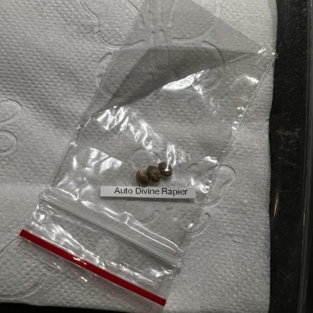 ⚔️ Auto Divine Rapier