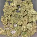 🍬🍭 Zkittlez Auto #4